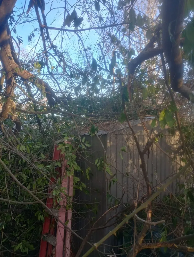 Local lawn care service experts serving Grovetown, GA - B&M Landscaping