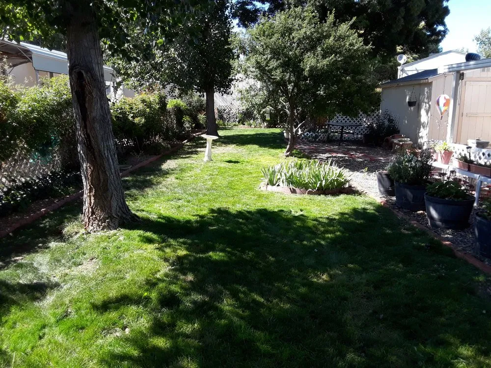 Reliable yard maintenance for year-round maintenance in Prescott Valley, AZ by B&M Landscaping