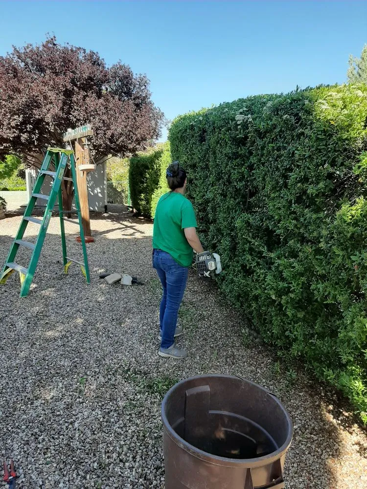 Trusted yard maintenance experts serving Prescott Valley, AZ - B&M Landscaping