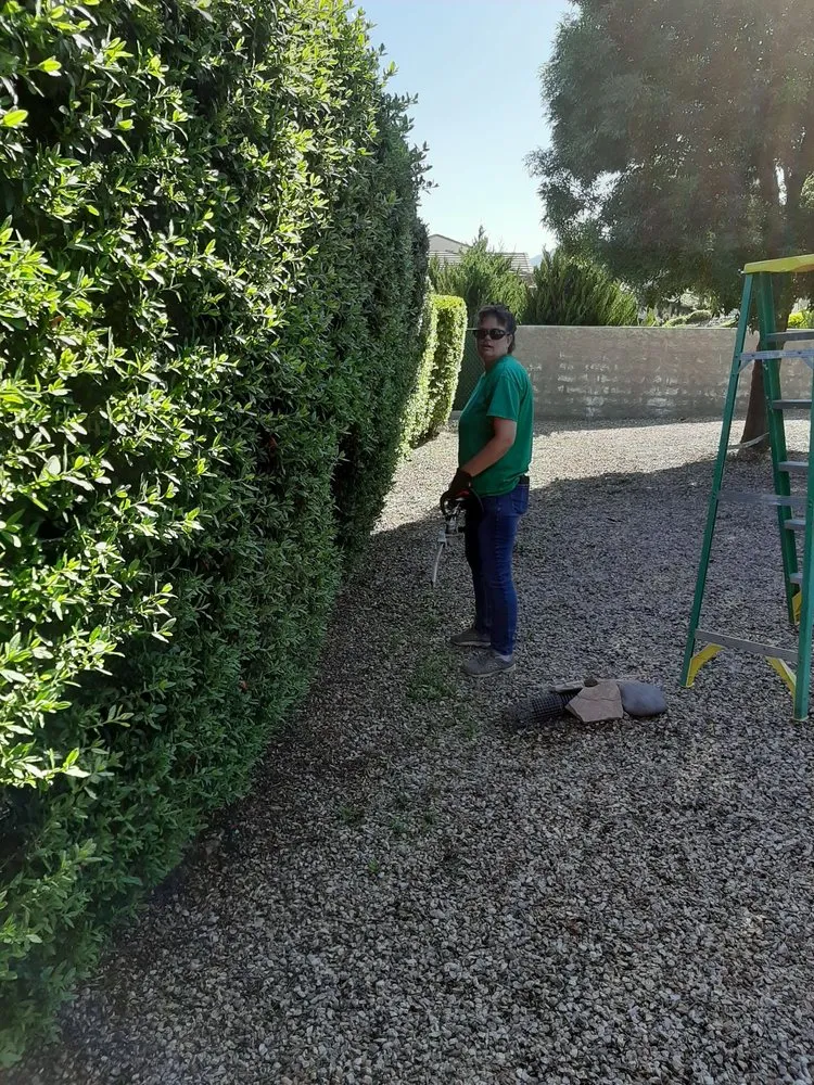 Affordable garden landscaping experts serving Prescott Valley, AZ - B&M Landscaping