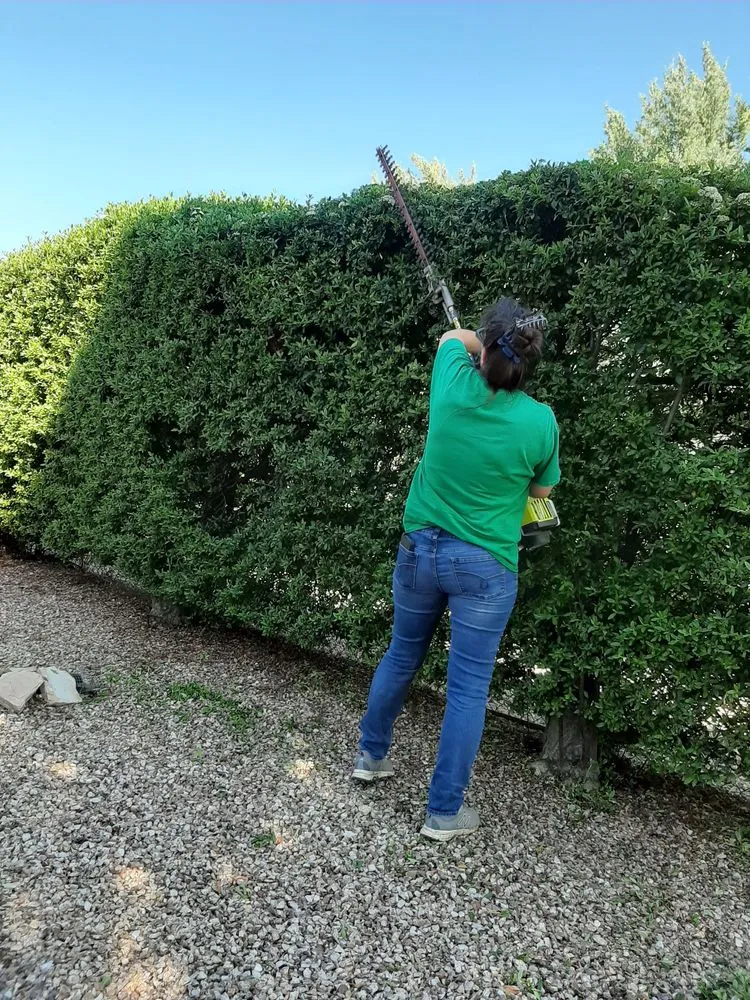 Custom yard maintenance for year-round maintenance in Prescott Valley, AZ by B&M Landscaping