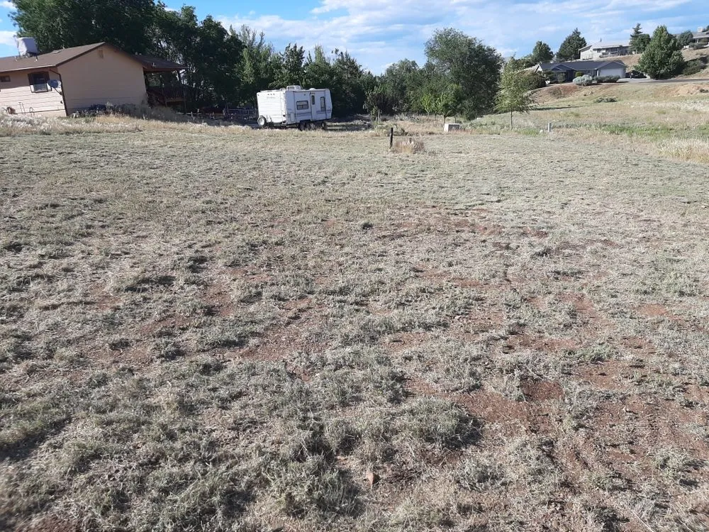 Expert landscaping services for year-round maintenance in Prescott Valley, AZ by B&M Landscaping