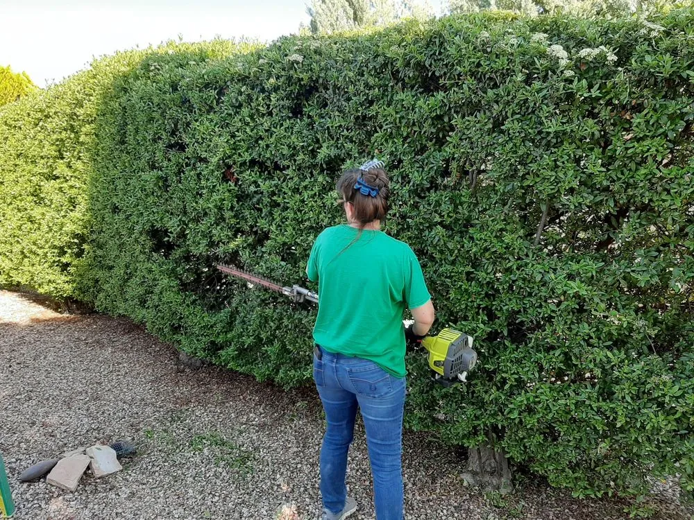 Trusted lawn mowing service in Prescott Valley, AZ by B&M Landscaping