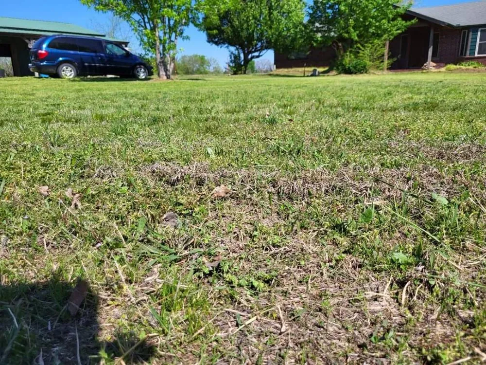 Professional lawn care service for outdoor upgrades in Coweta, OK by B&M Lawn Care