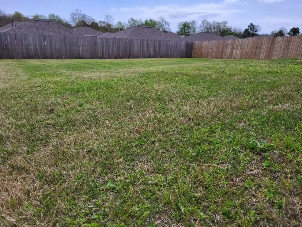 Professional yard maintenance in Coweta, OK by B&M Lawn Care