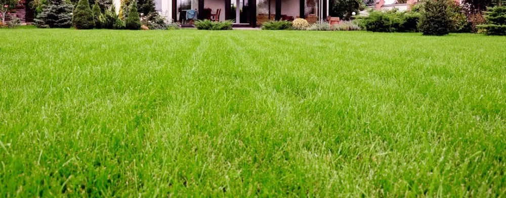 Professional garden landscaping experts serving Coweta, OK - B&M Lawn Care