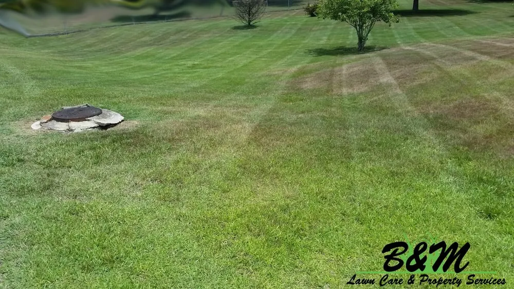 Reliable landscaping services for year-round maintenance in Rainsville, AL by B&M Lawn Care