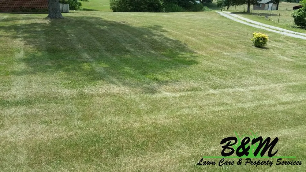 Professional lawn mowing service in Rainsville, AL by B&M Lawn Care