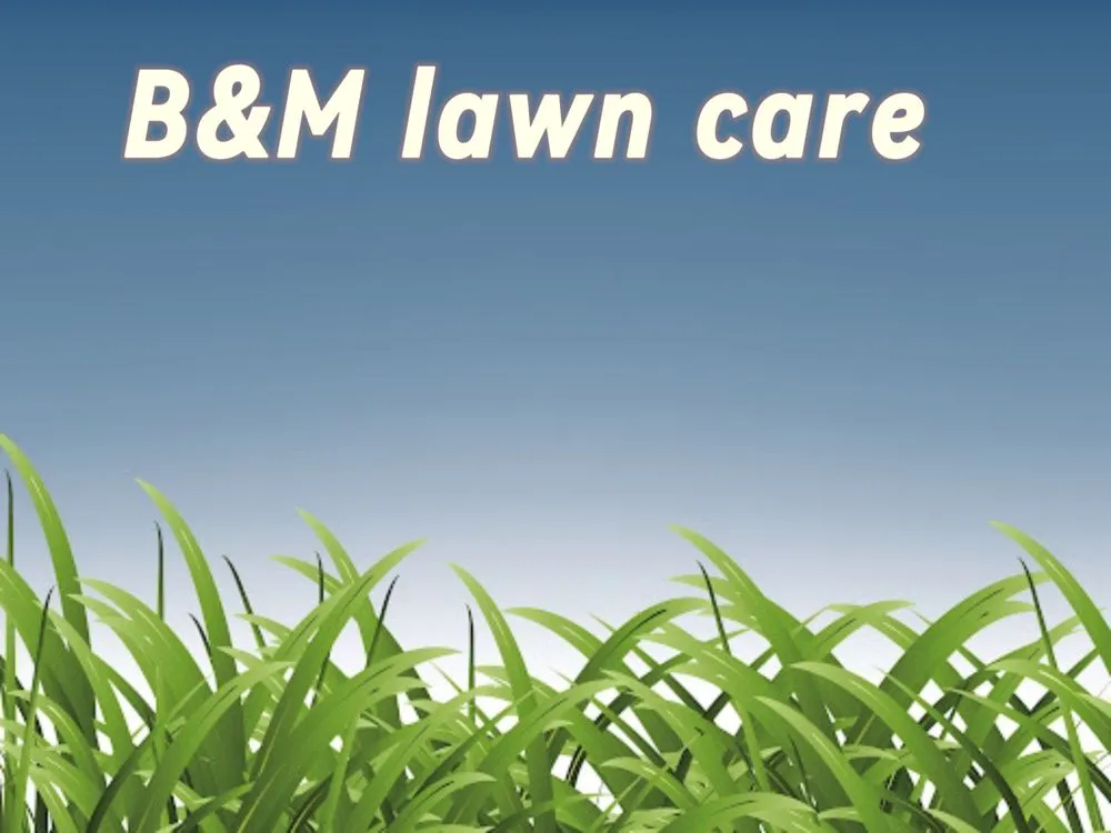 Professional residential landscaping in Rock Hill, SC by B&M lawn care