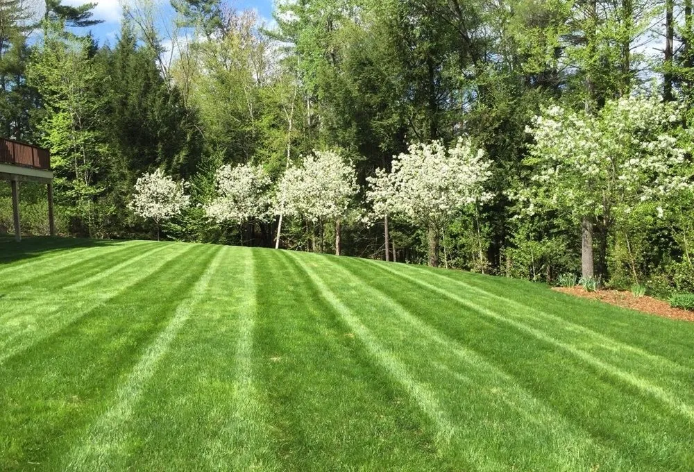 Expert lawn mowing service experts serving Rock Hill, SC - B&M lawn care
