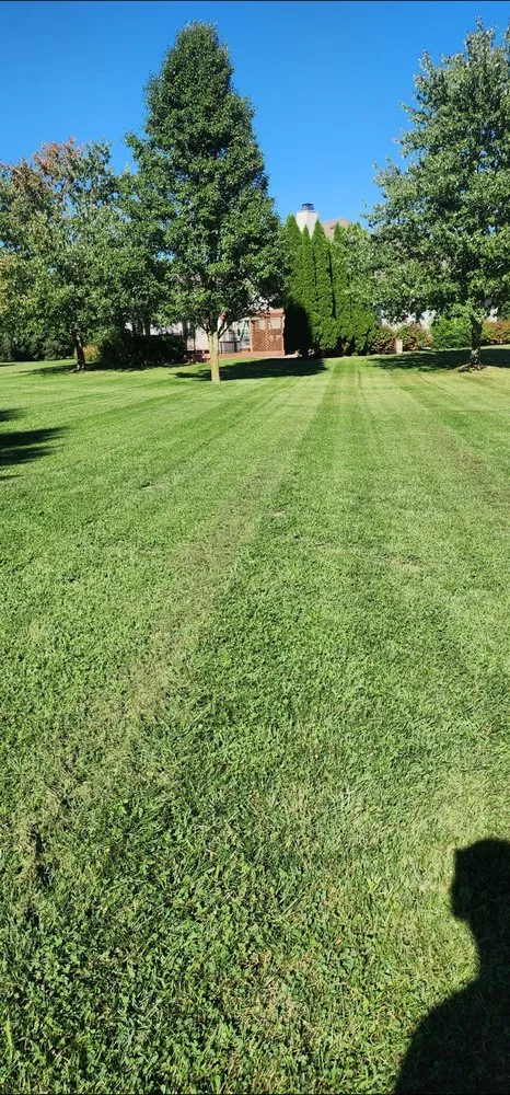 Expert landscape installation in Plymouth, IN by B&M Lawncare