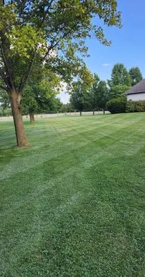 B&M Lawncare