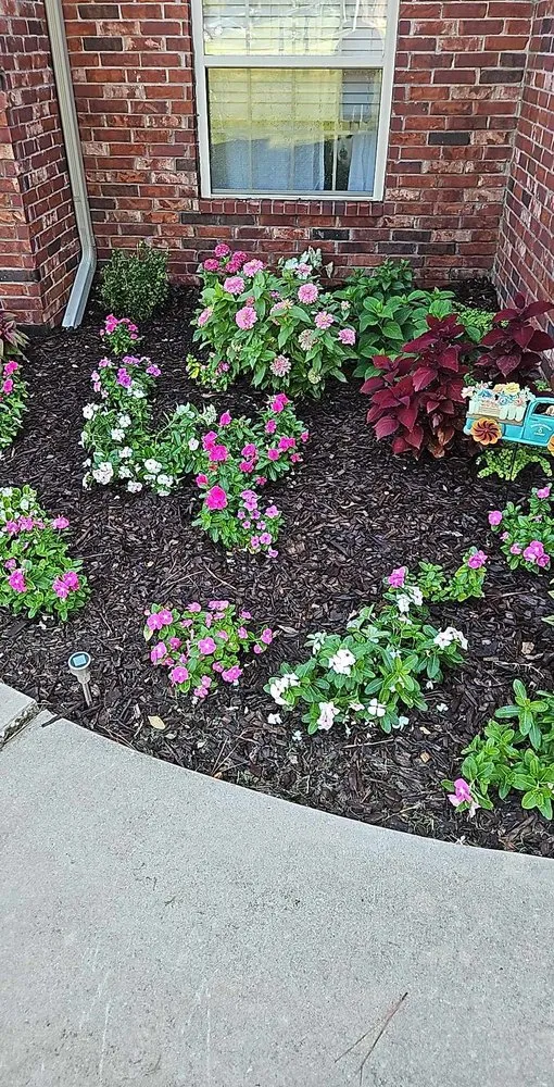 Custom yard cleanup service near you across Springdale, AR - B&M Lawncare