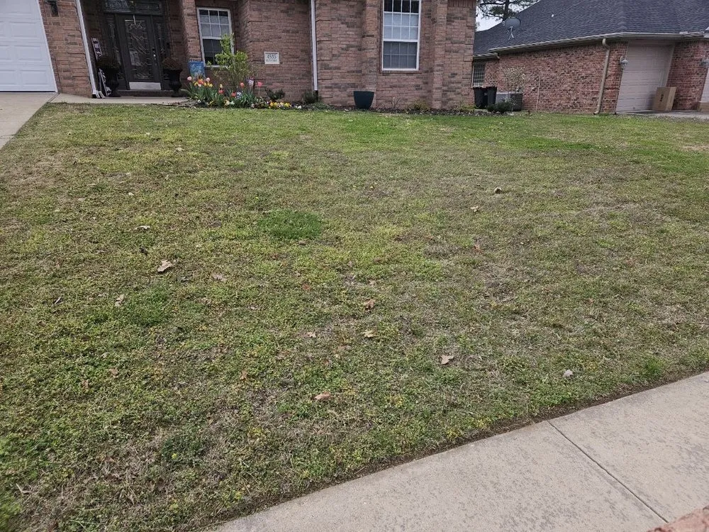 Professional yard cleanup service for outdoor upgrades in Springdale, AR by B&M Lawncare