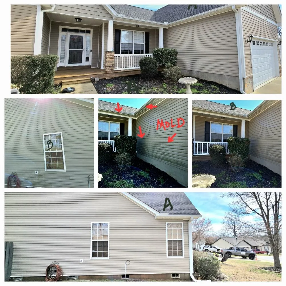 Top-rated landscaping services in Marietta, SC - BM Maintenance and More