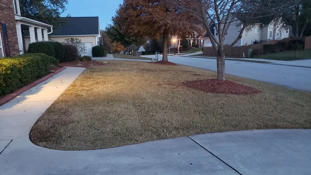 Expert yard cleanup service for residential properties across Marietta, SC - BM Maintenance and More