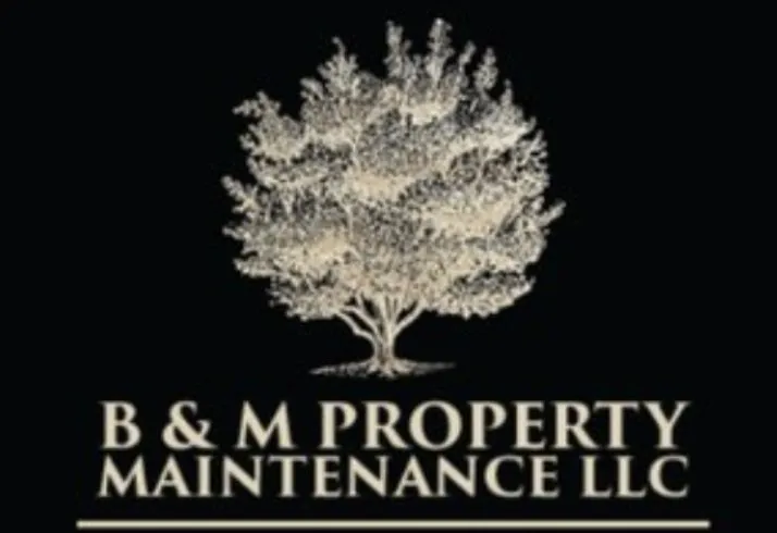 Top-rated lawn care service in New Castle, DE - B&M Property Maintenance