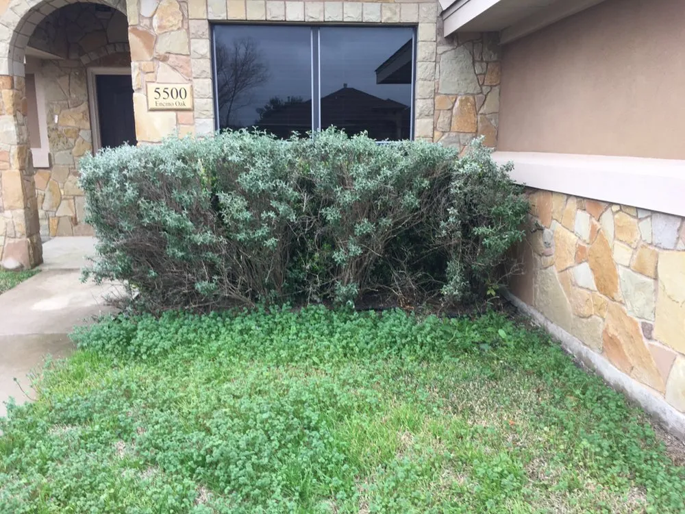 Professional yard cleanup service in Temple, TX - BMA Services