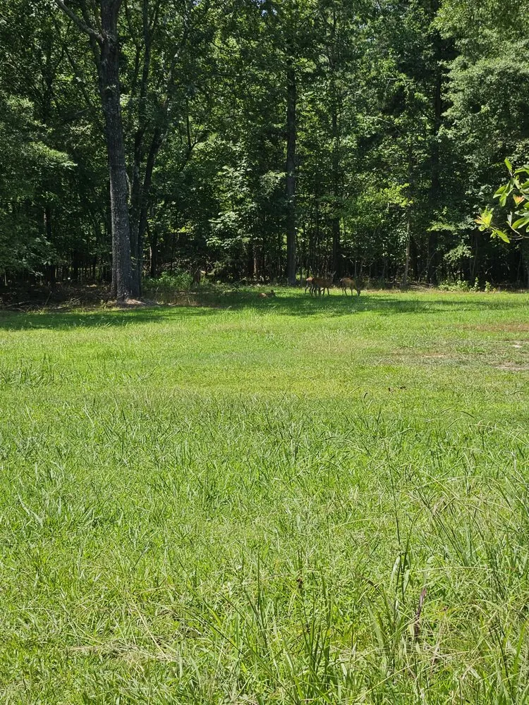 Top-rated yard maintenance in Conway, AR by BMACKS Lawn Service