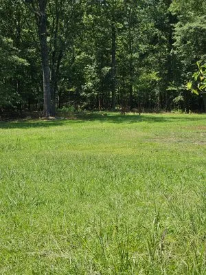 BMACKS Lawn Service Logo