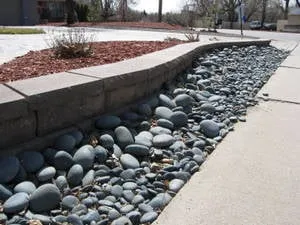 Professional yard maintenance in Aurora, CO by BMB Landscaping