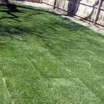 Affordable landscape design in Aurora, CO by BMB Landscaping