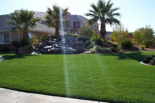 Top-rated landscape design in Jupiter, FL - BMB Landscaping