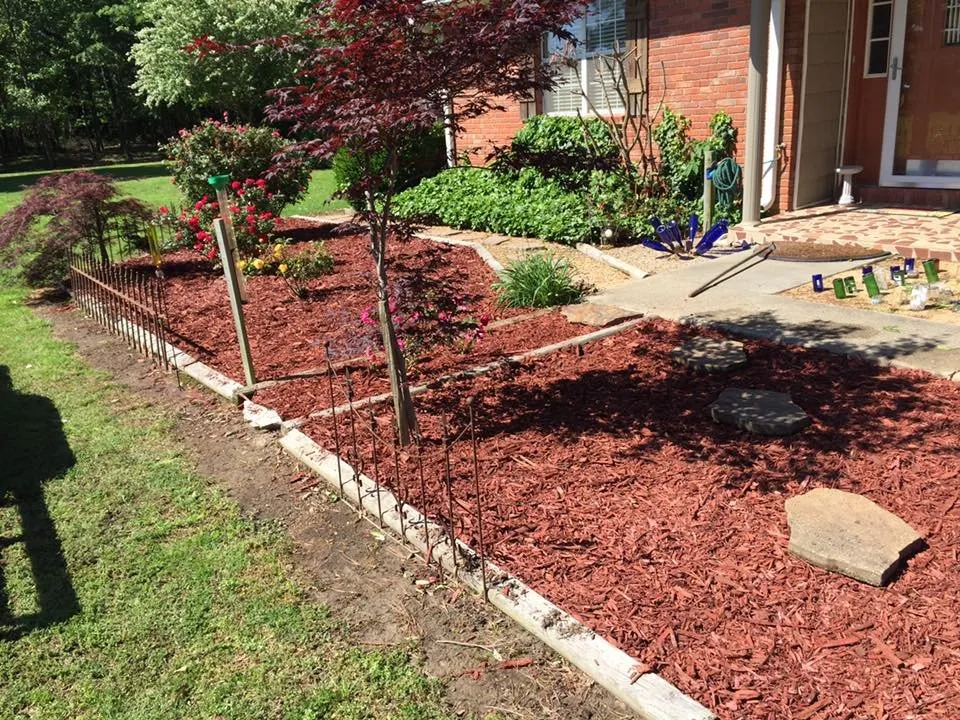 Trusted yard cleanup service in Greenway, AR - BMB Lawn Care