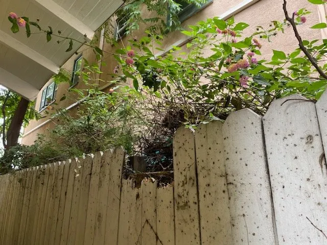 Affordable outdoor landscaping experts serving Long Beach, CA - BMC Landscape and Tree Service