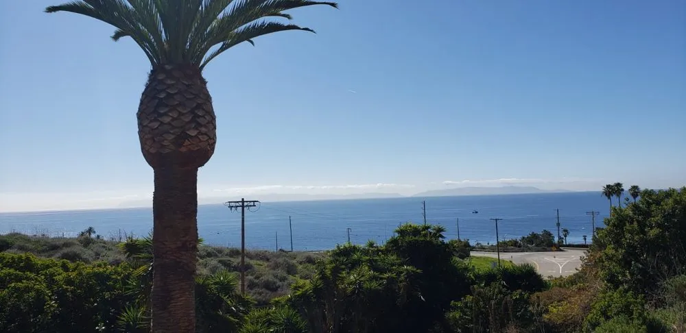 Reliable landscape installation in Long Beach, CA by BMC Landscape and Tree Service