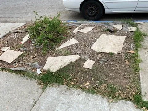 Top-rated outdoor landscaping for year-round maintenance in Long Beach, CA by BMC Landscape and Tree Service