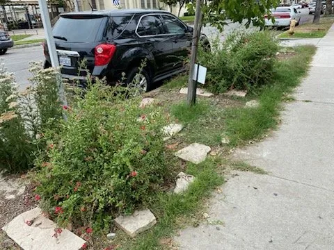 Professional garden landscaping for year-round maintenance across Long Beach, CA - BMC Landscape and Tree Service