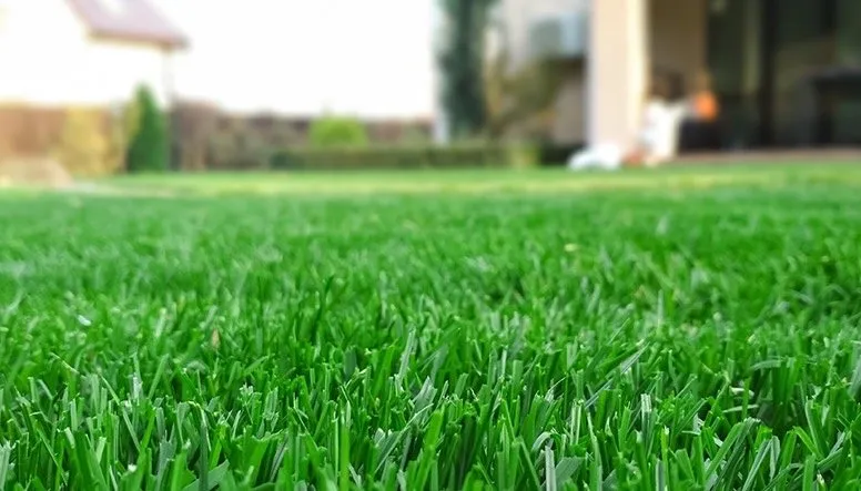 Professional garden landscaping in Long Beach, CA - BMC Landscape and Tree Service