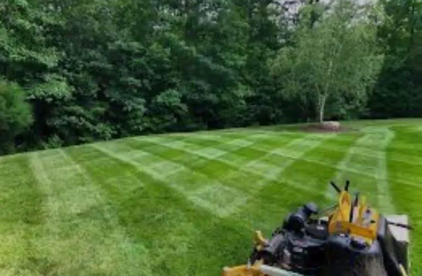 Top-rated lawn care service experts serving Chester, PA - Bmc's and Son
