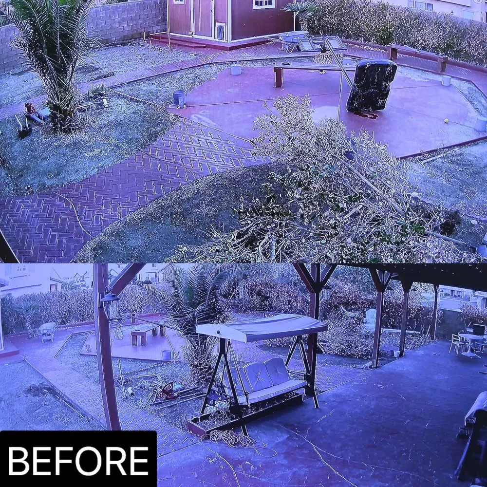 Local lawn mowing service in Palmdale, CA - BME landscaping