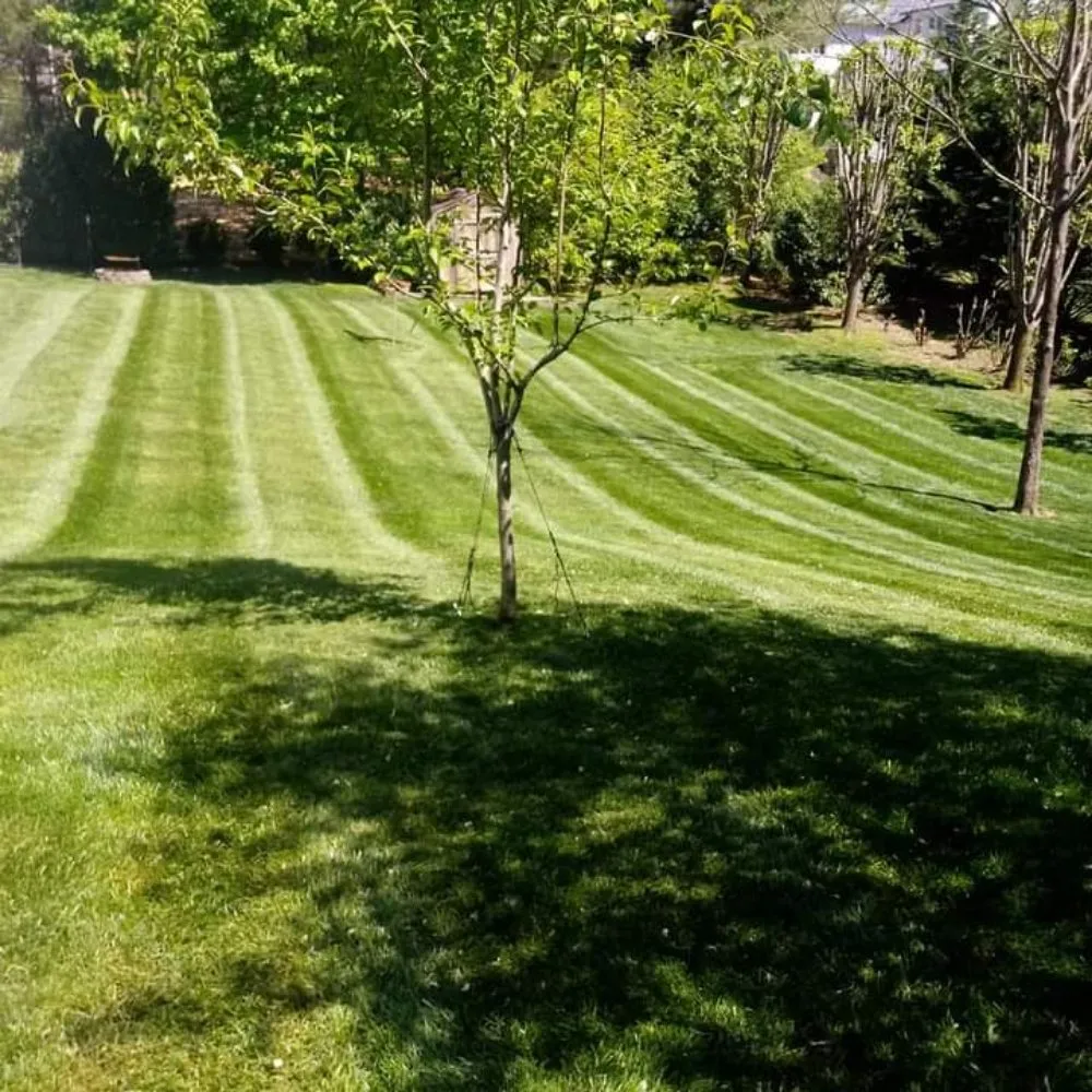 Top-rated garden landscaping in Cookeville, TN by B.Mejia Lawn care