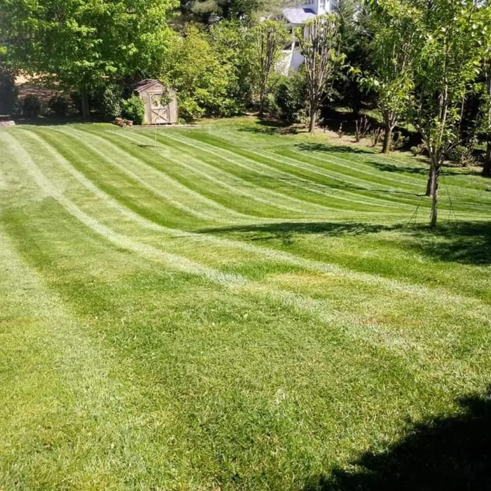 Local lawn care service for year-round maintenance in Cookeville, TN by B.Mejia Lawn care