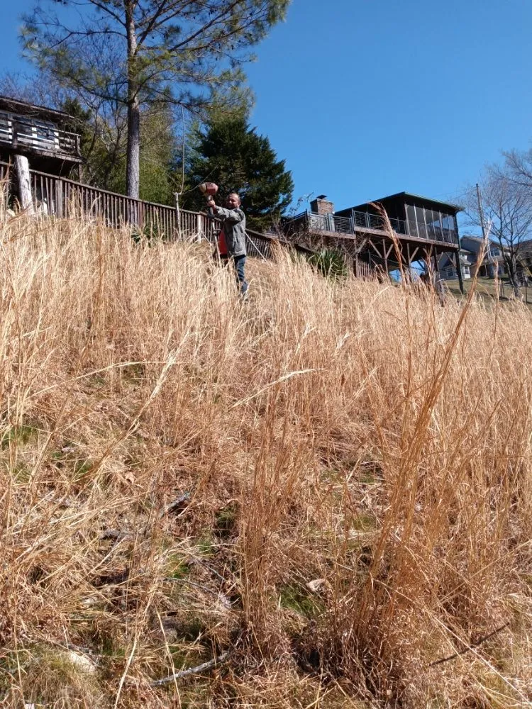 Professional landscaping services in Cookeville, TN by B.Mejia Lawn care