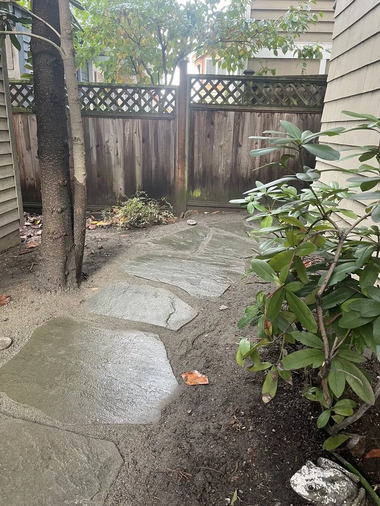 Top-rated yard cleanup service in Kent, WA by BMG Landscaping