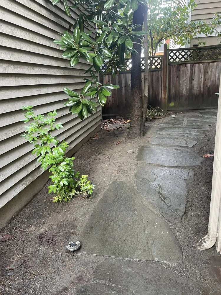 Reliable yard cleanup service in Kent, WA - BMG Landscaping