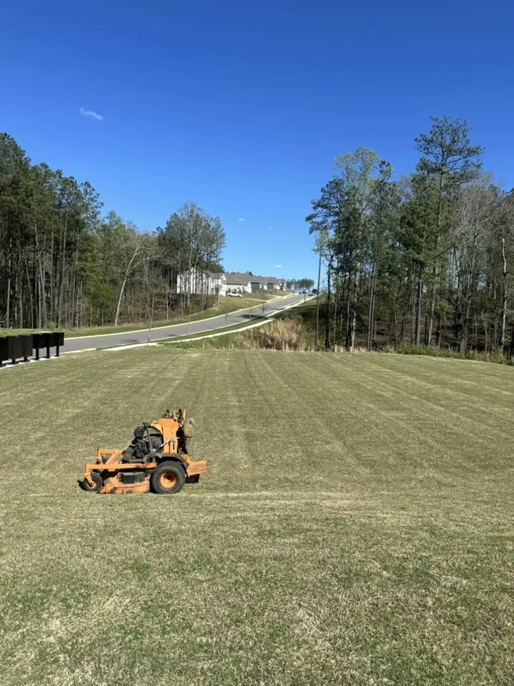 Trusted yard cleanup service in Montevallo, AL - BMH Landscape