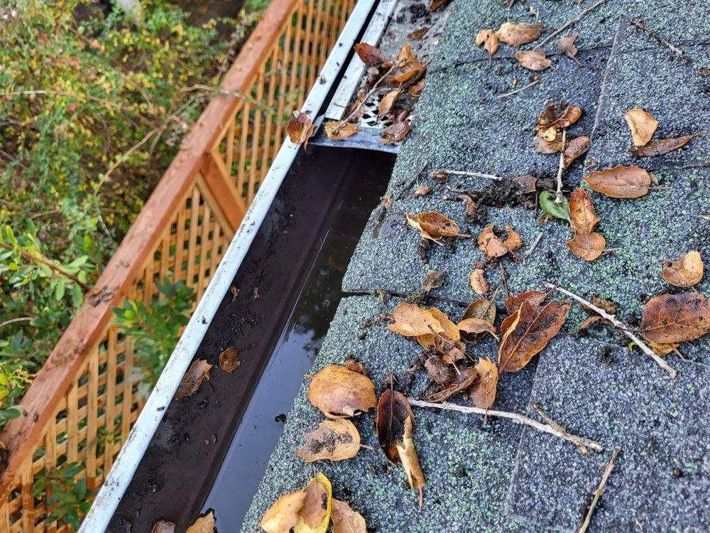 Local yard cleanup service in Sebastopol, CA - BMHD Services