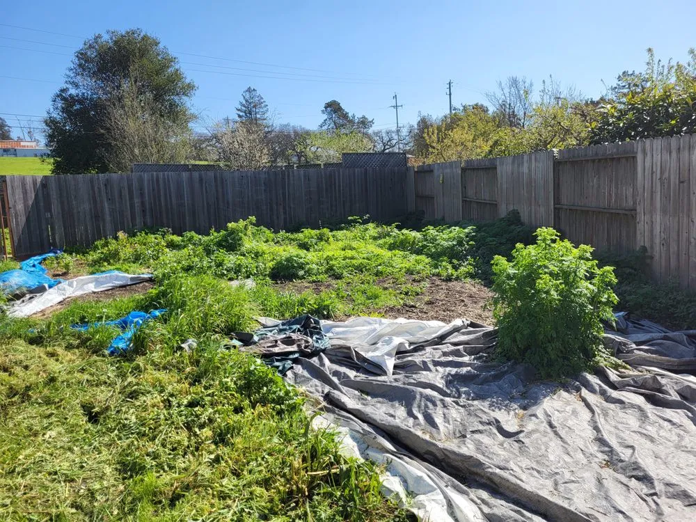 Trusted lawn care service experts serving Sebastopol, CA - BMHD Services