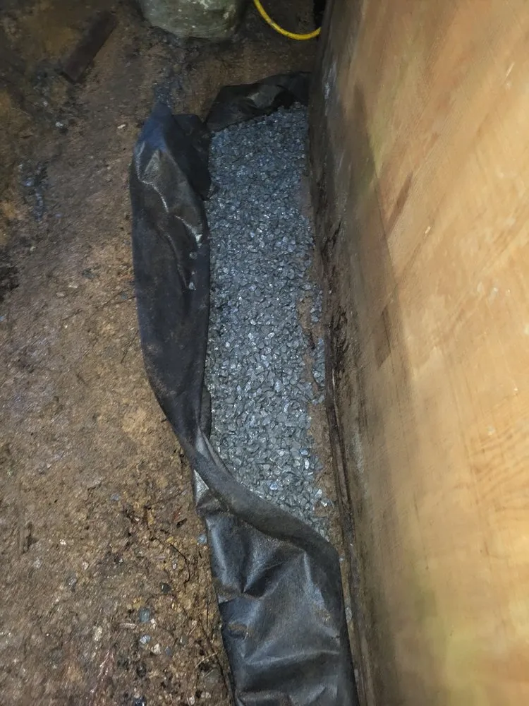 Professional yard cleanup service for outdoor upgrades across Sebastopol, CA - BMHD Services