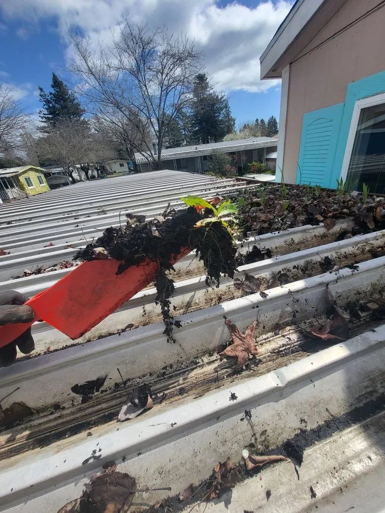 Trusted yard maintenance experts serving Sebastopol, CA - BMHD Services