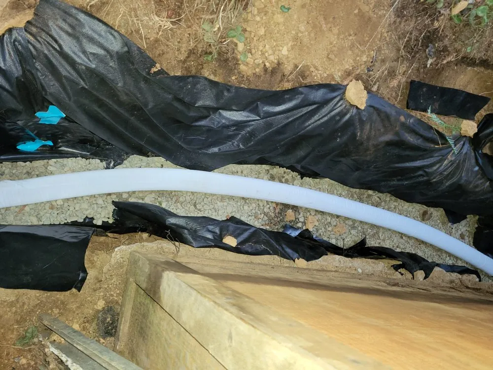 Top-rated yard cleanup service in Sebastopol, CA by BMHD Services