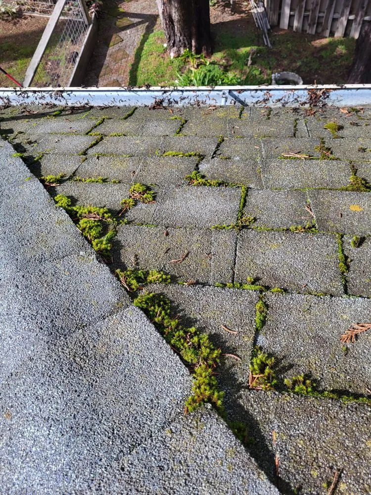 Trusted outdoor landscaping in Sebastopol, CA by BMHD Services