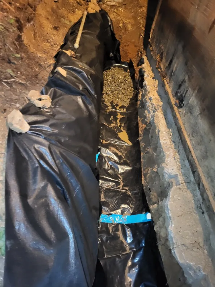 Custom outdoor landscaping for year-round maintenance across Sebastopol, CA - BMHD Services