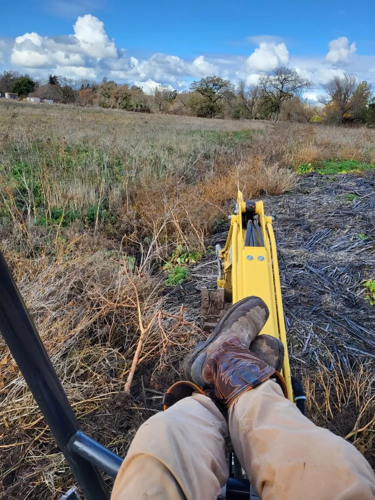Custom landscape installation in Sebastopol, CA by BMHD Services