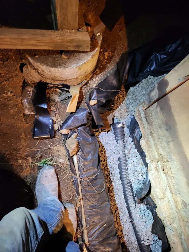 Trusted landscape design in Sebastopol, CA - BMHD Services